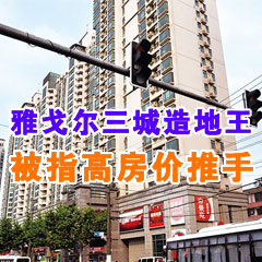 雅戈爾三城造地王被指高房價推手