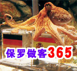 章魚保羅做客365
