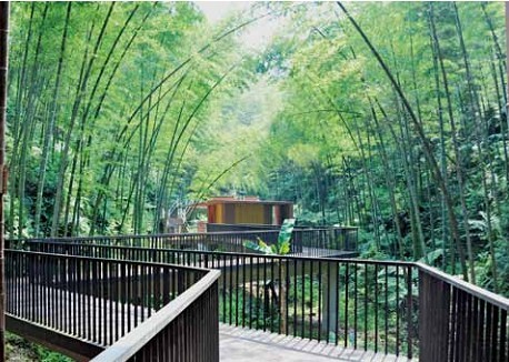 藏竹？醒竹！——貴州赤水竹海國家森林公園入口景觀建筑體